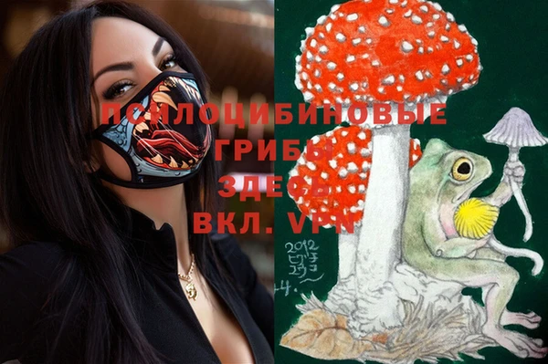 прущая мука Балахна